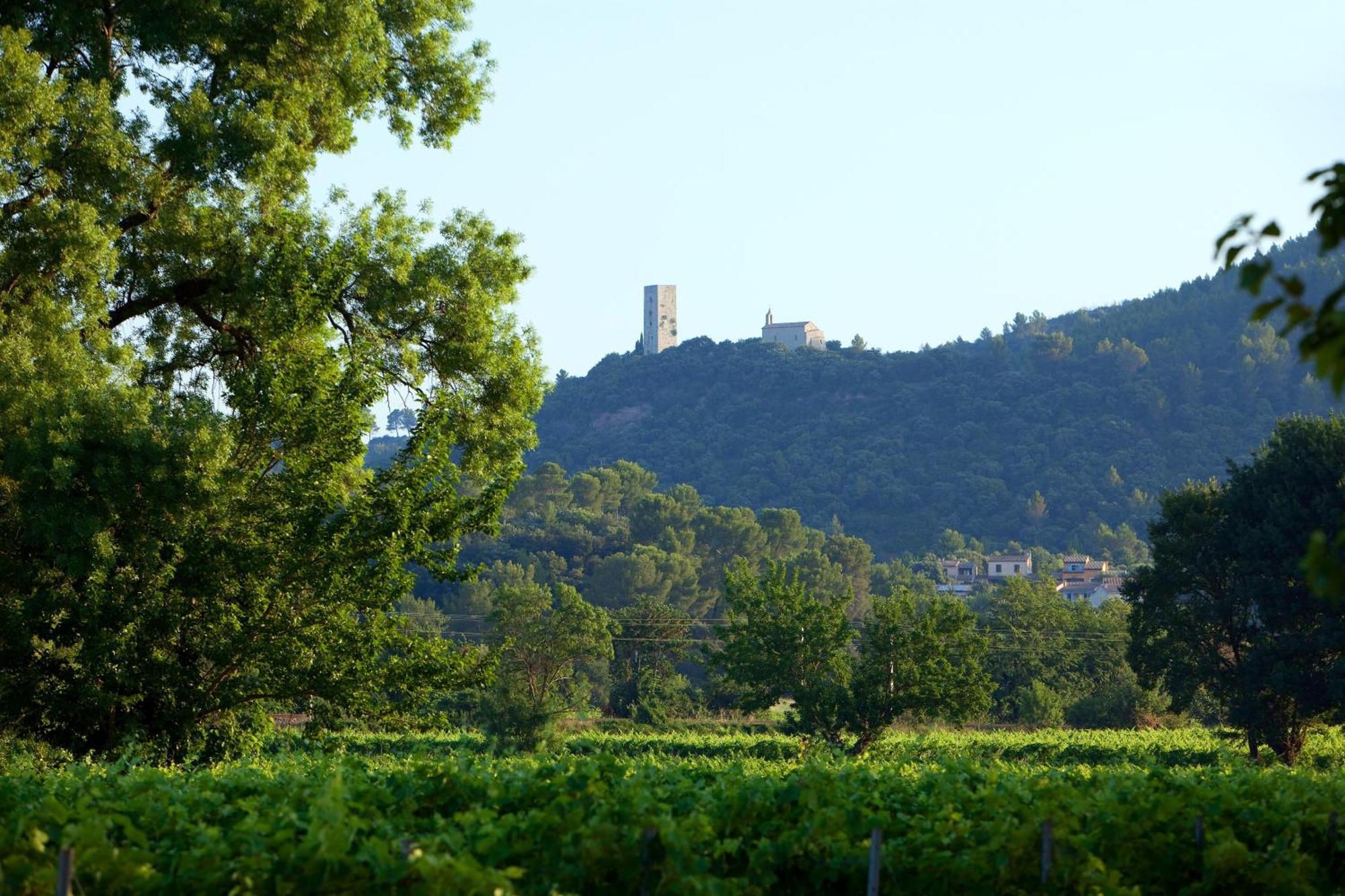 Chateau de Saint Martin Taradeau Extérieur photo